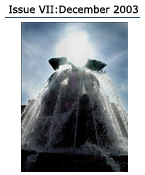 Issue VII