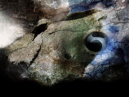 Fossil
